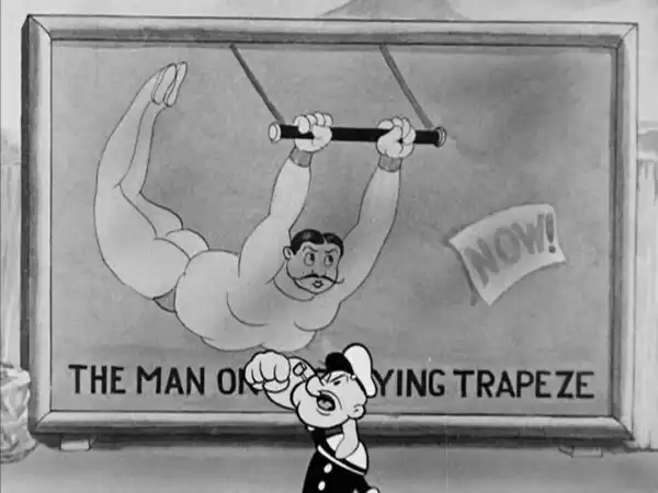 The Man on the Flying Trapeze photo