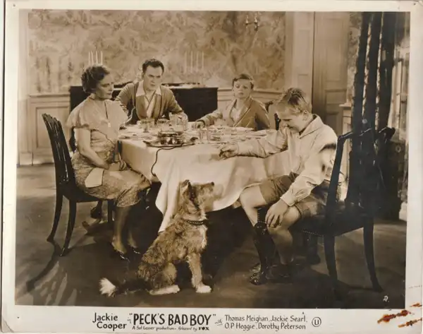 Peck's Bad Boy