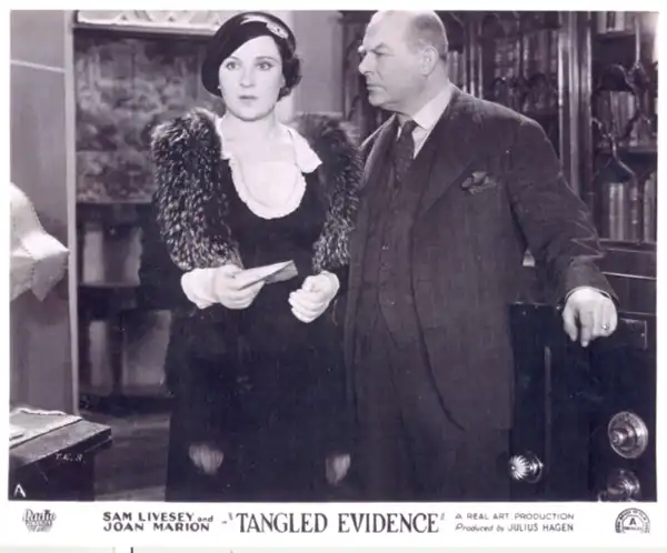 Tangled Evidence photo