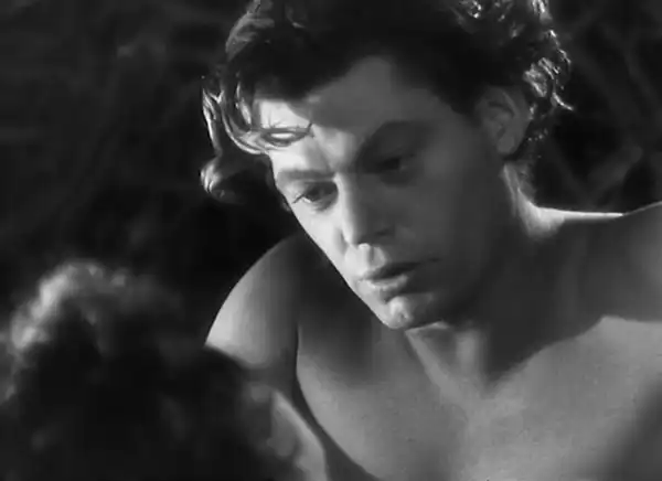 Tarzan and His Mate photo