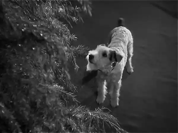The Thin Man photo