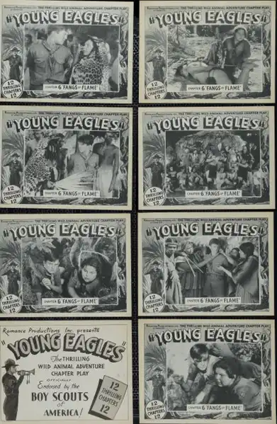 Young Eagles photo