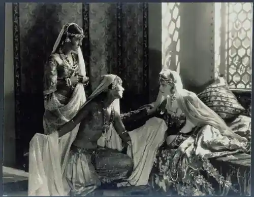 Maharadjahens yndlingshustru III photo