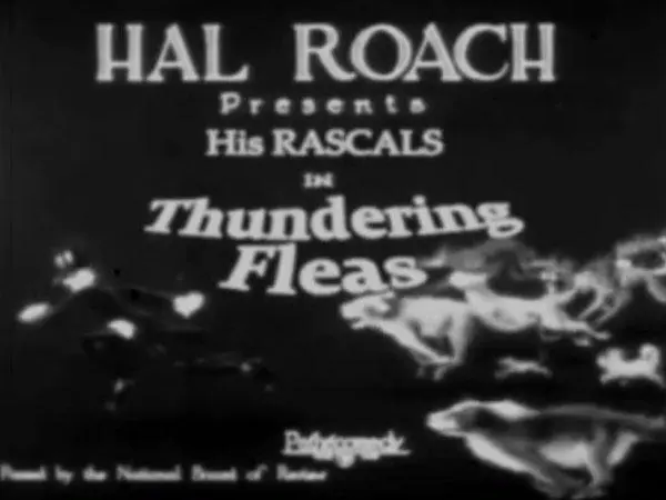Thundering Fleas scene