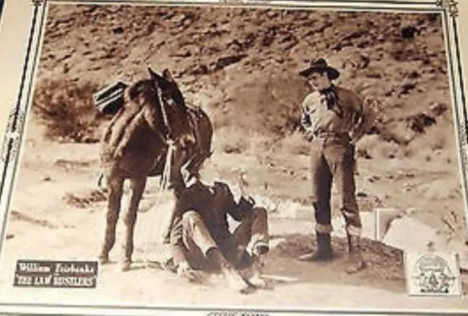 The Law Rustlers