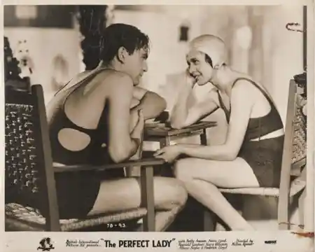 The Perfect Lady photo