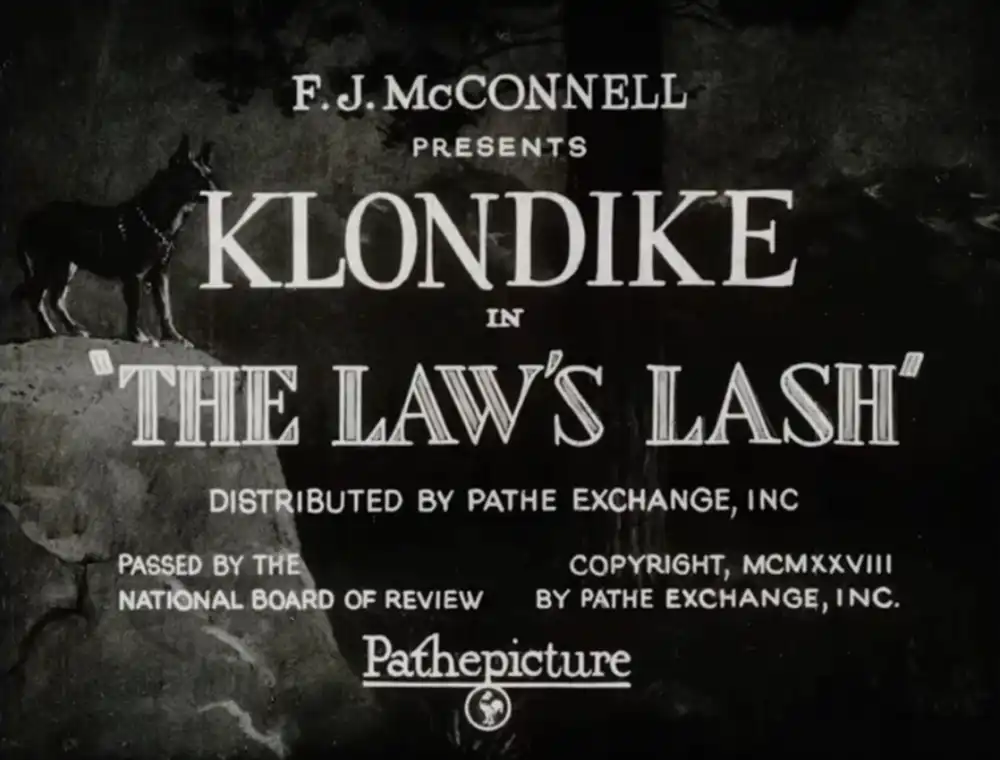 The Law's Lash photo