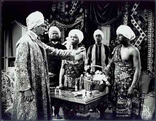Maharadjahens yndlingshustru I photo