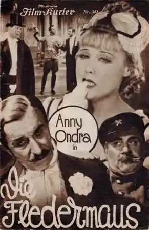 Die Fledermaus photo