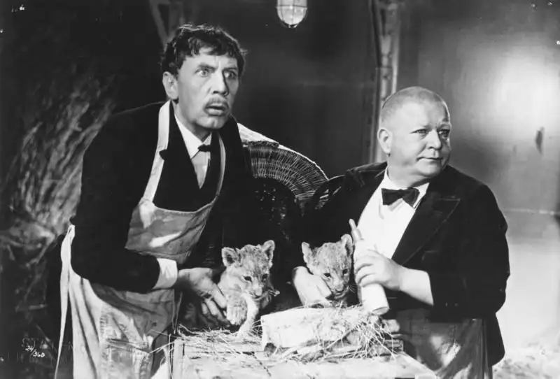 Cocktails scene