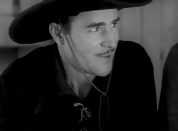 The Boss Cowboy photo