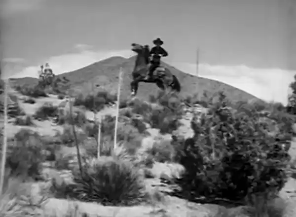 The Boss Cowboy