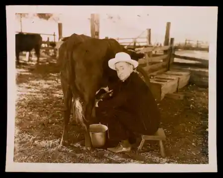 Discontented Cowboys