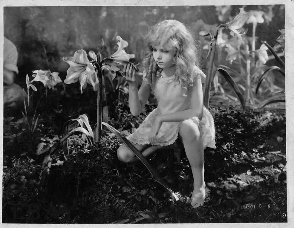 The Magic Garden