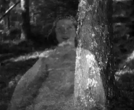 The Elf King photo