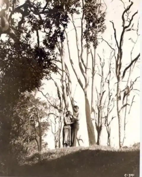 The Squatter's Daughter photo