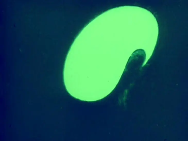 Lichtspiel Opus 1.