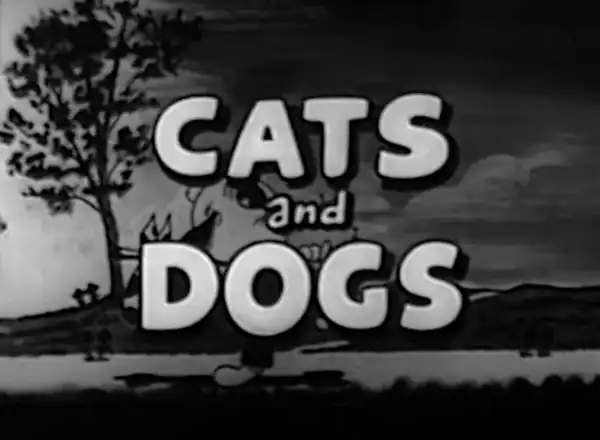 Cats and Dogs photo