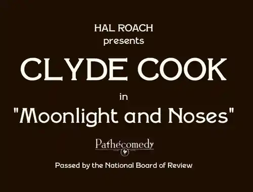 Moonlight and Noses photo