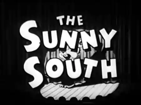 Sunny South