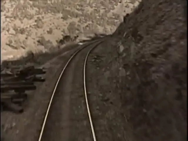 Wandering Papas scene