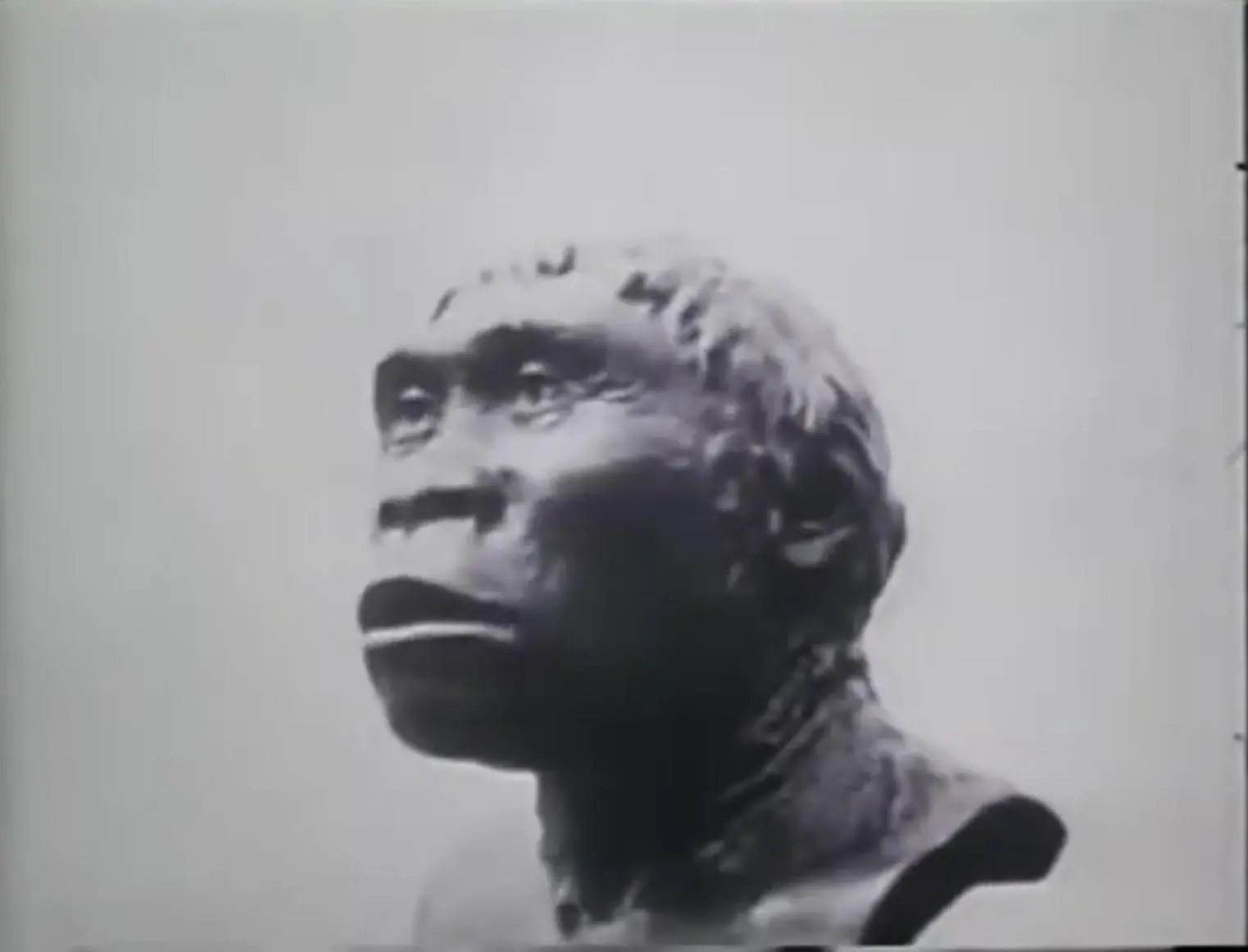 Evolution scene