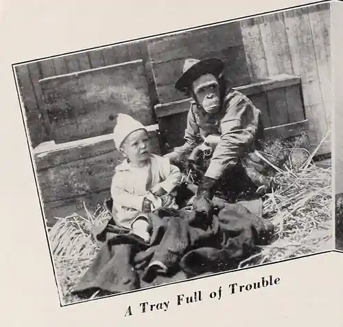 A Tray Full of Trouble photo