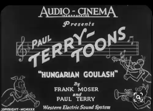 Hungarian Goulash photo