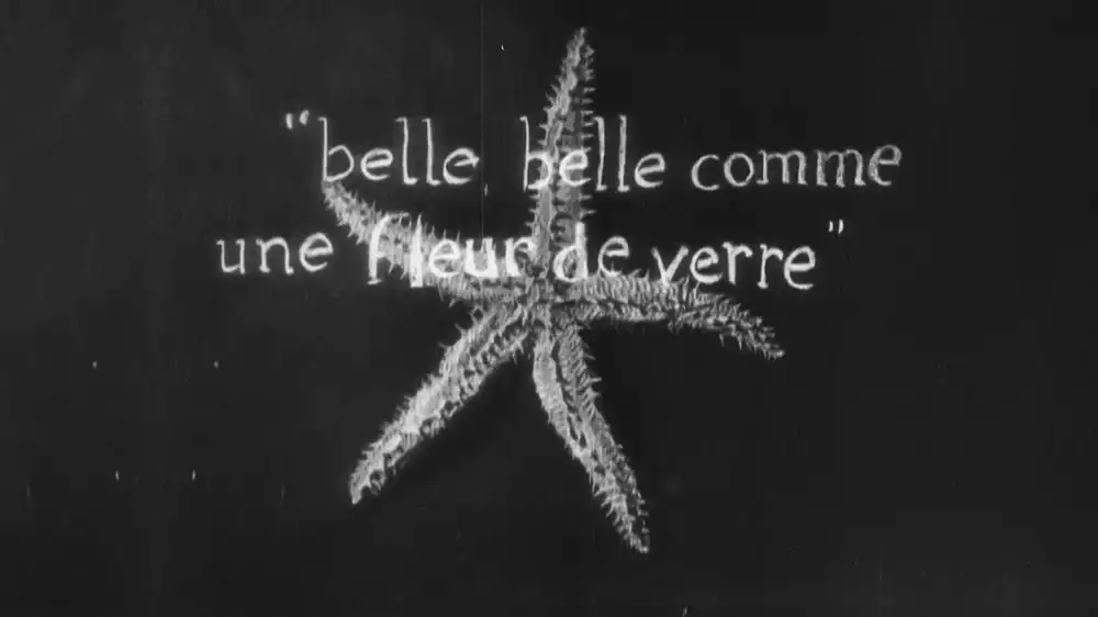 L'Étoile de mer scene