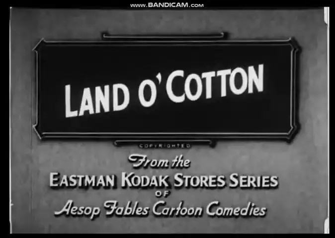 Land o' Cotton