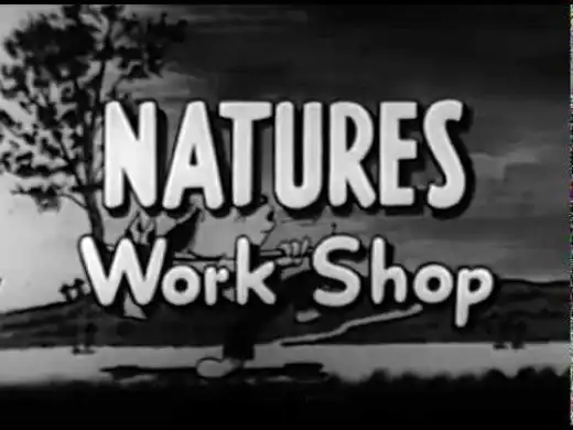 Nature's Workshop