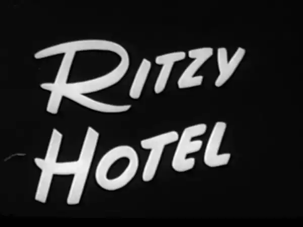 Ritzy Hotel photo
