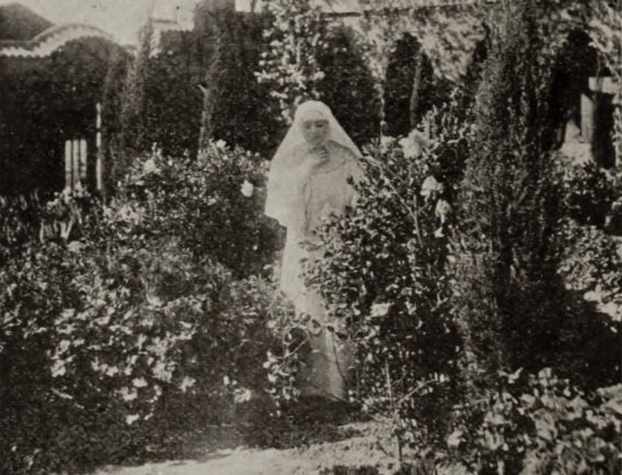 The Sorrows of Love scene