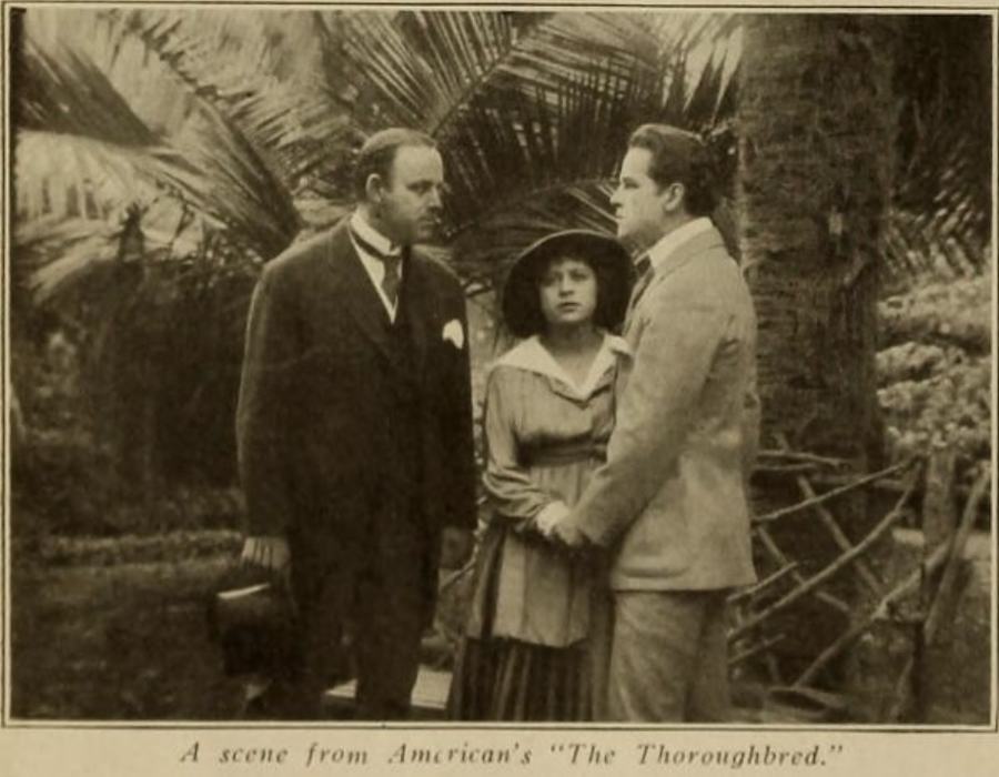 The Thoroughbred scene