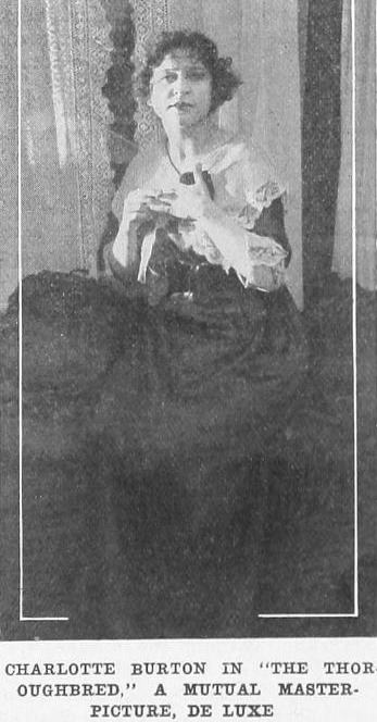The Thoroughbred photo