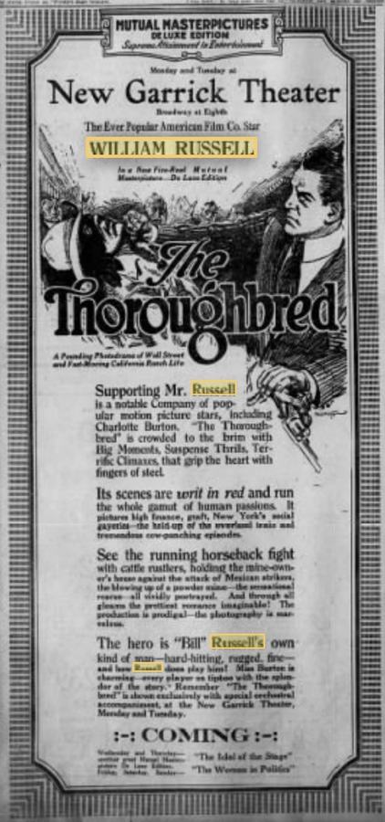The Thoroughbred scene