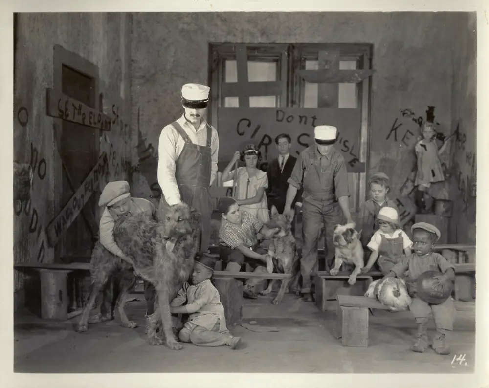 Animal Catchers photo