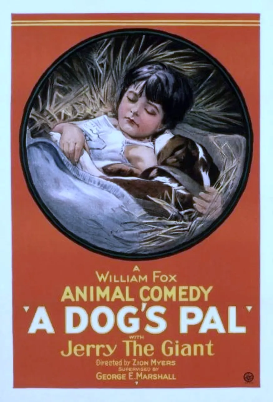 A Dog's Pal photo