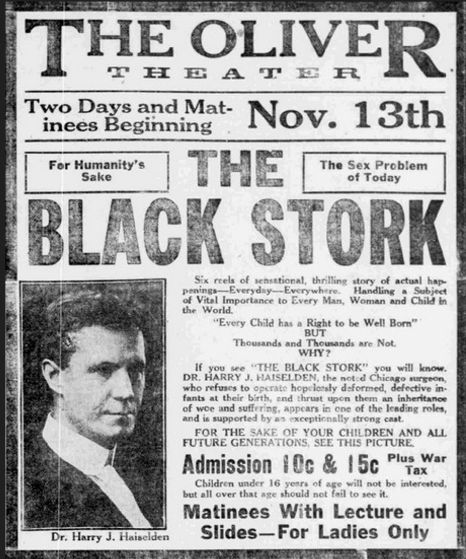 The Black Stork scene