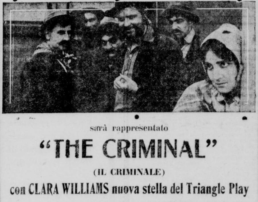The Criminal scene