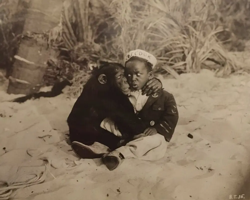Monkey Business photo