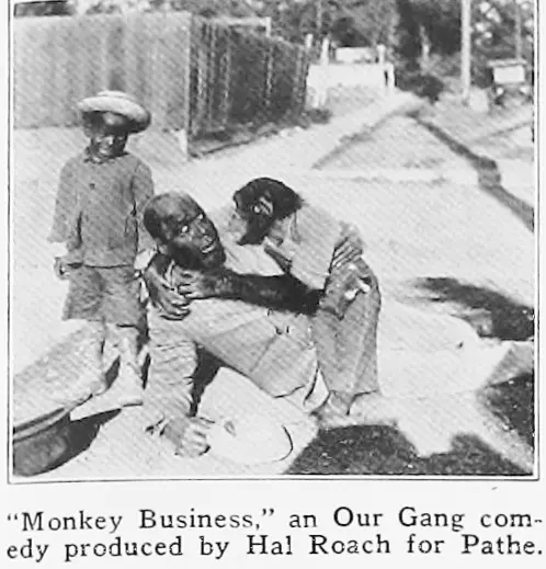 Monkey Business photo