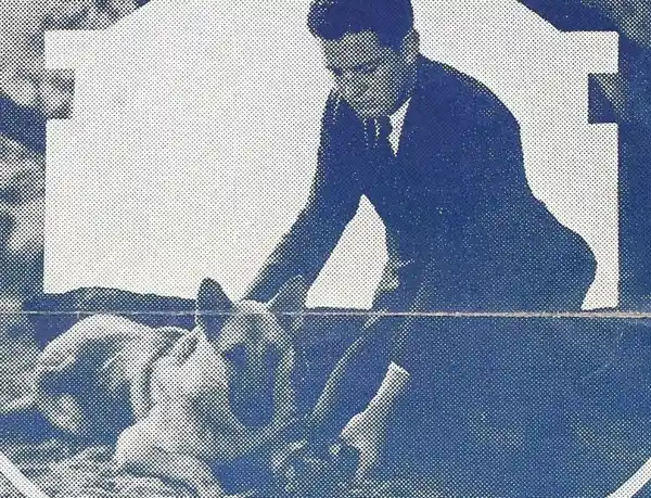 Fighting to Live photo