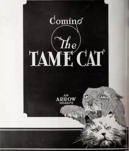 The Tame Cat photo