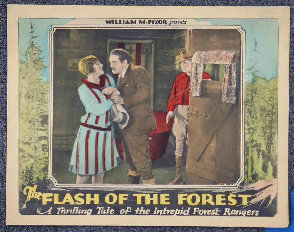 The Flash of the Forest