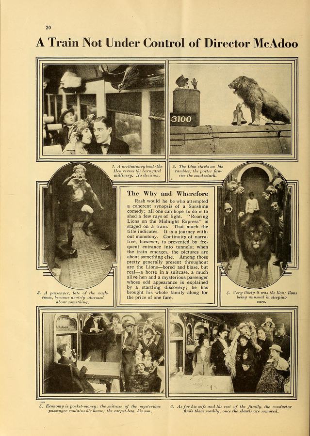 Roaring Lions on the Midnight Express photo