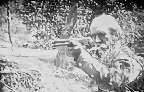 The Son-of-a-Gun