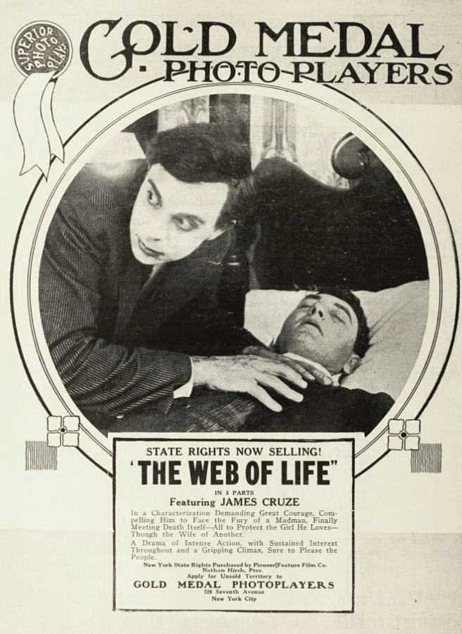 The Web of Life scene