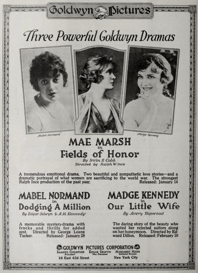 Fields of Honor scene