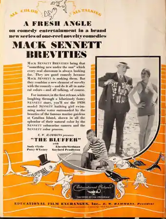 The Bluffer